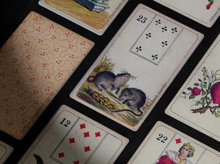 Starlund Mlle Lenormand oracle deck screenshot 15