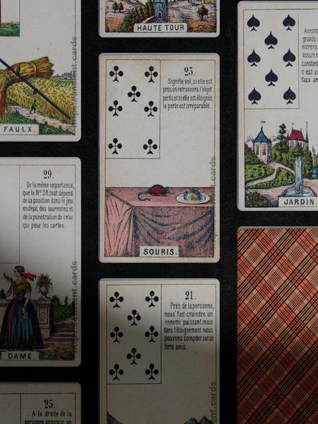Daveluy Mlle Lenormand oracle deck screenshot 11