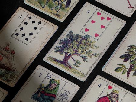 Starlund Mlle Lenormand oracle deck screenshot 7